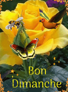 Gif animé Bon dimanche nature